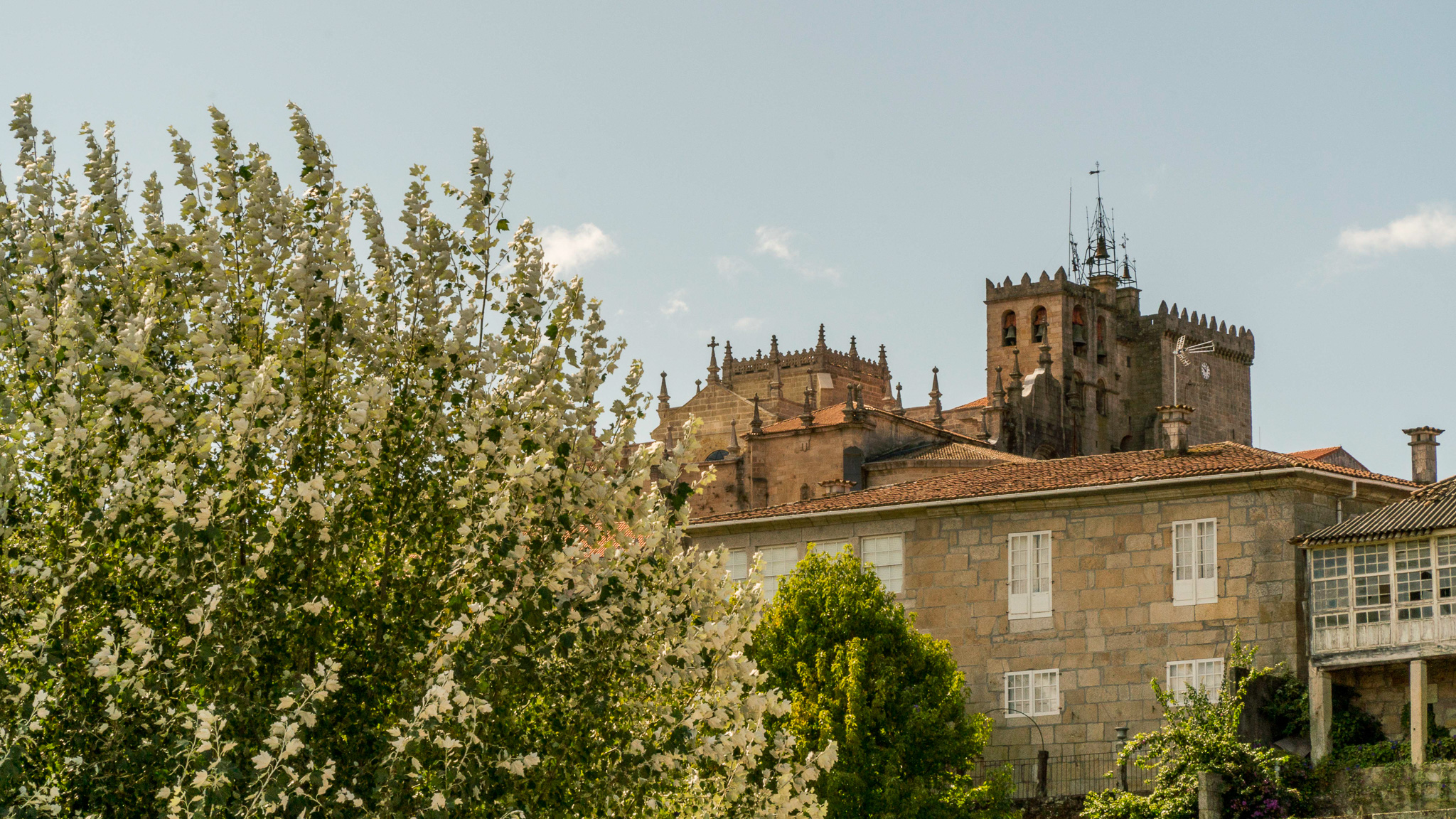 concello-de-tui-catedral-de-tui-10